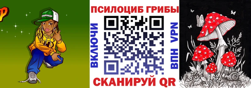 Галлюциногенные грибы Magic Shrooms  ОМГ ОМГ рабочий сайт  Чайковский  купить наркотик 